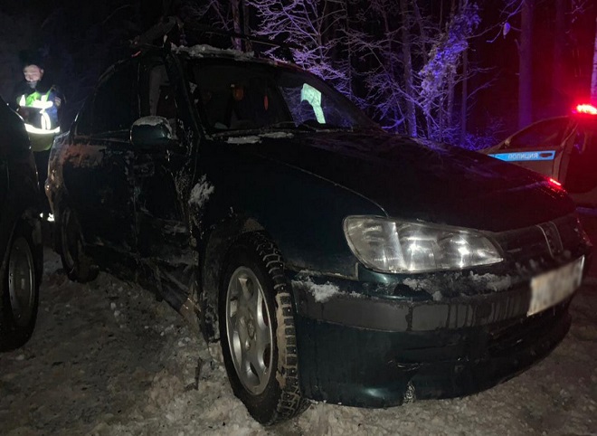 В ДТП на трассе Рязань — Клепики пострадали два человека