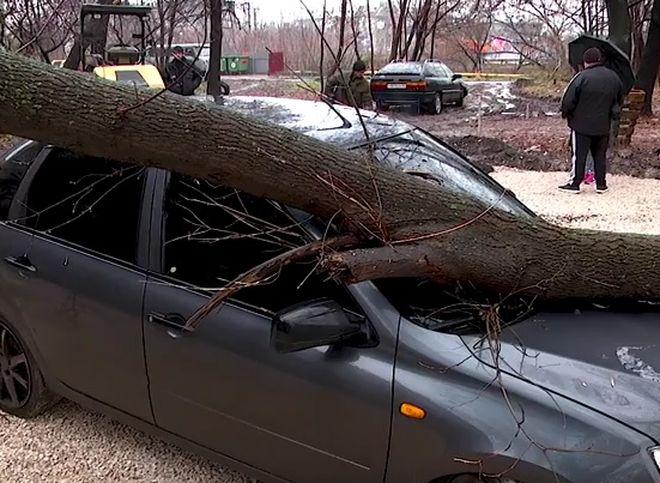 На улице Халтурина из-за ремонта дороги дерево упало на автомобиль