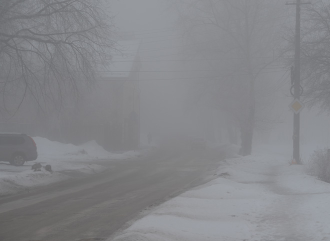 МЧС: на Рязанскую область опустится туман