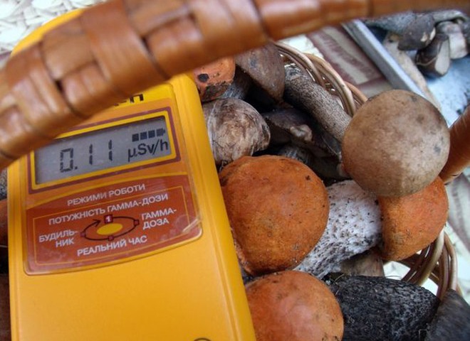 На рынках Москвы нашли около тонны радиоактивных грибов и ягод