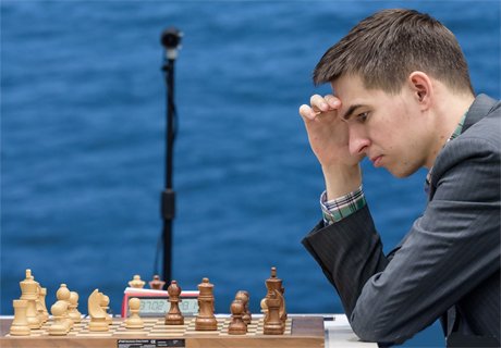 Рязанский гроссмейстер сделал четвертую ничью на турнире в Голландии