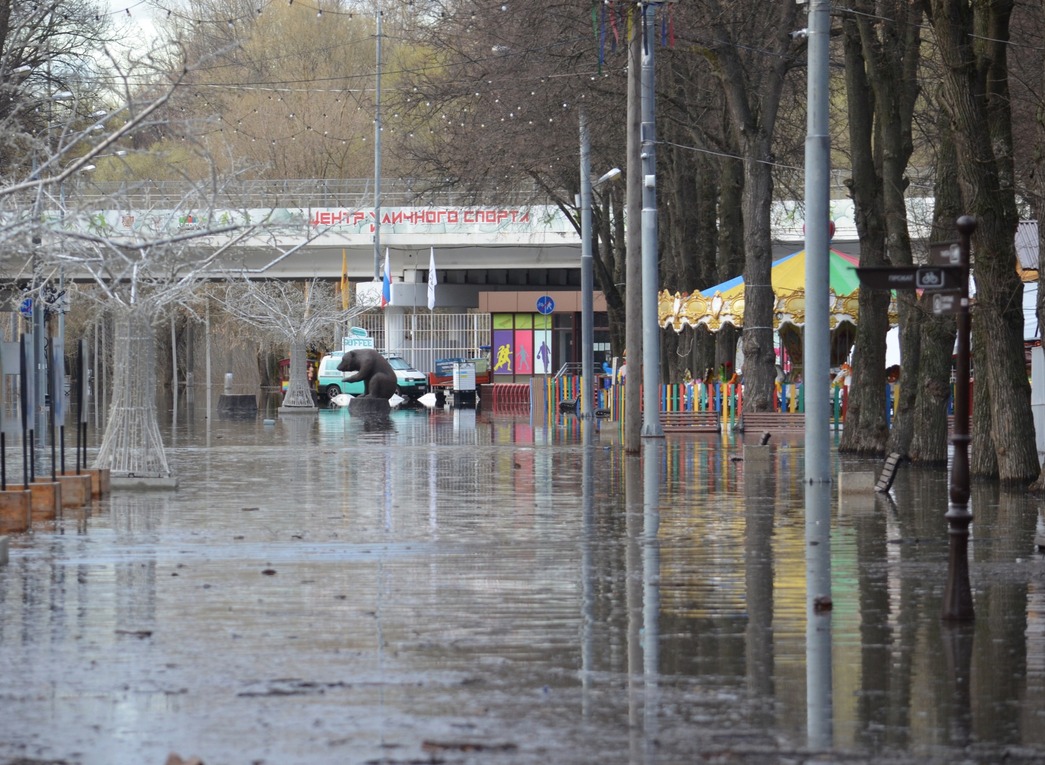 За сутки Ока в Рязани поднялась на 20 см