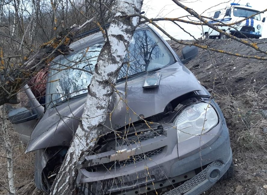 В Клепиковском районе Niva Chevrolet вылетела с дороги и врезалась в березу