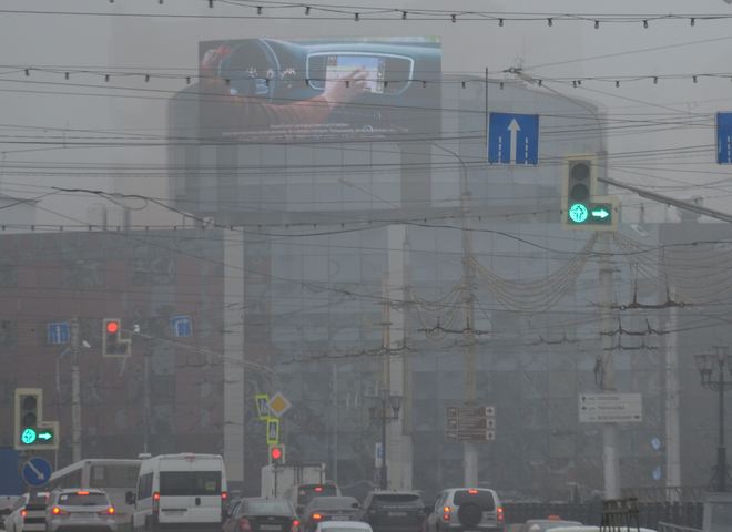 МЧС: в ближайшие часы Рязанскую область накроет туманом