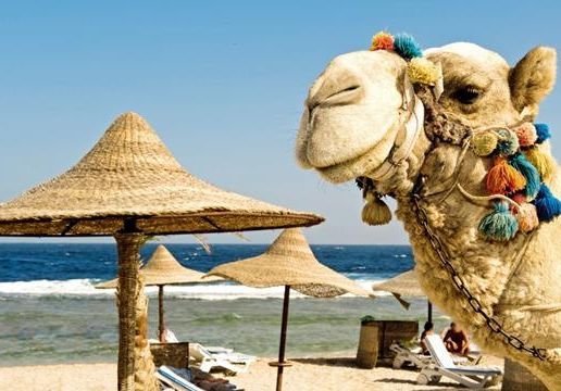 В Египте вступил в силу туристический налог на развитие