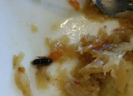 В рязанском кафе девушке подали обед с тараканом