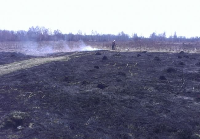 В Рязани оштрафовали поджигателя травы