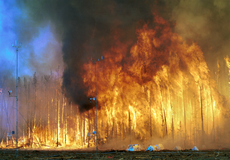 В Канаде из-за лесных пожаров эвакуируют целый город