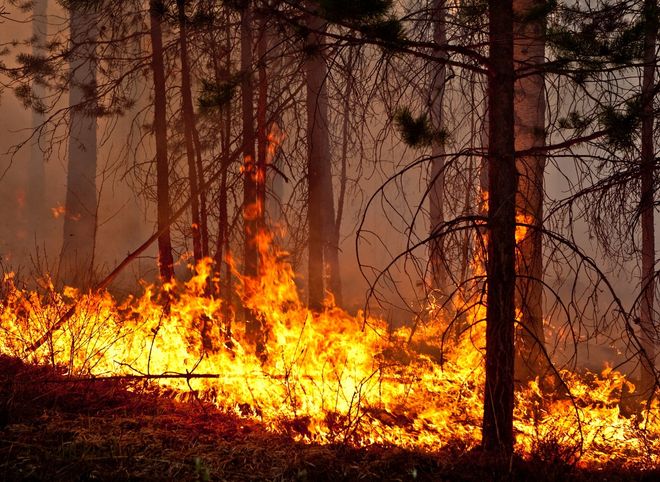 В Забайкалье горит 9,5 тыс. гектаров леса