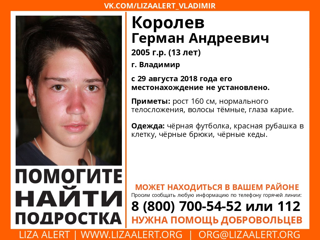 Рязанцев попросили помочь в поисках 13-летнего подростка из Владимира