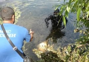 В Ермишинском районе из пруда извлекли тело мужчины
