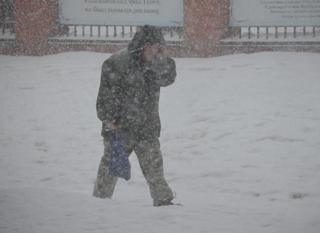 МЧС предупредило рязанцев о мокром снеге