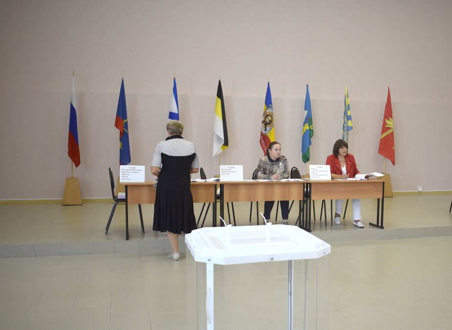 В Шацком районе пьяный москвич пытался проголосовать за Собянина