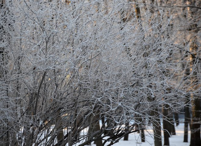 В Рязани температура воздуха упадет на 13 градусов за несколько часов