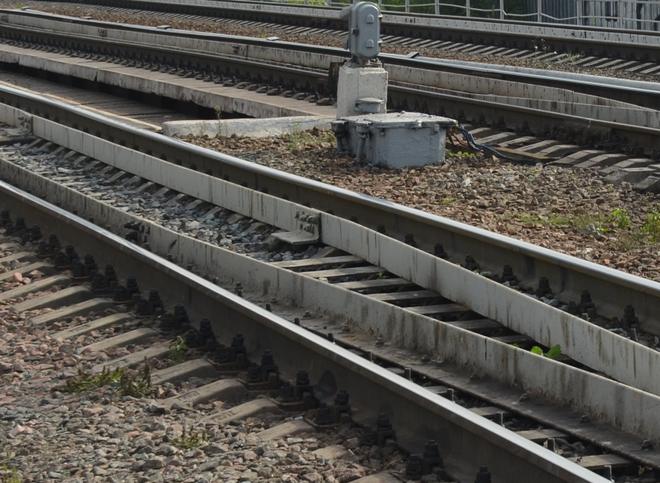 В Рязани поезд насмерть сбил пенсионерку