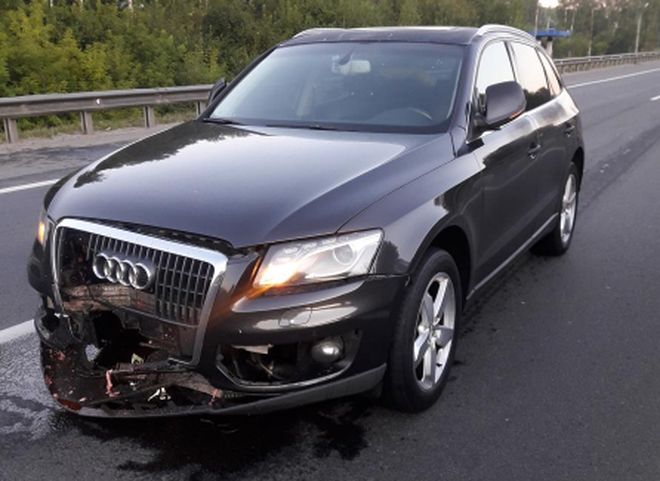 В Рязанском районе Audi Q5 насмерть сбила пешехода