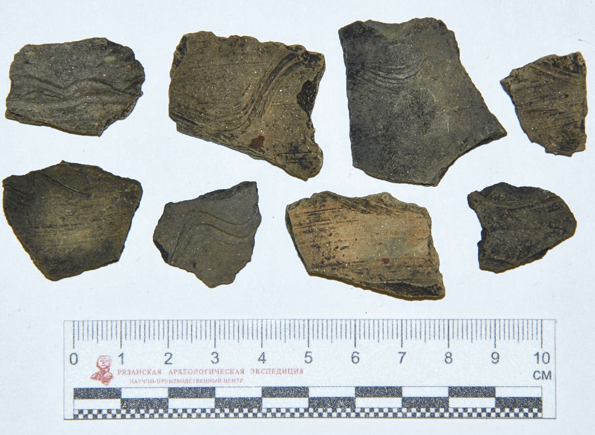 Археологи раскопали под Рязанью посуду, которой 800 лет