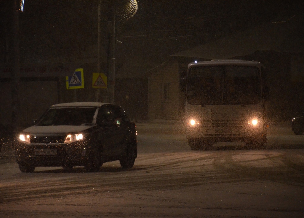 В ночь на воскресенье в Рязанской области похолодает до -6 °С