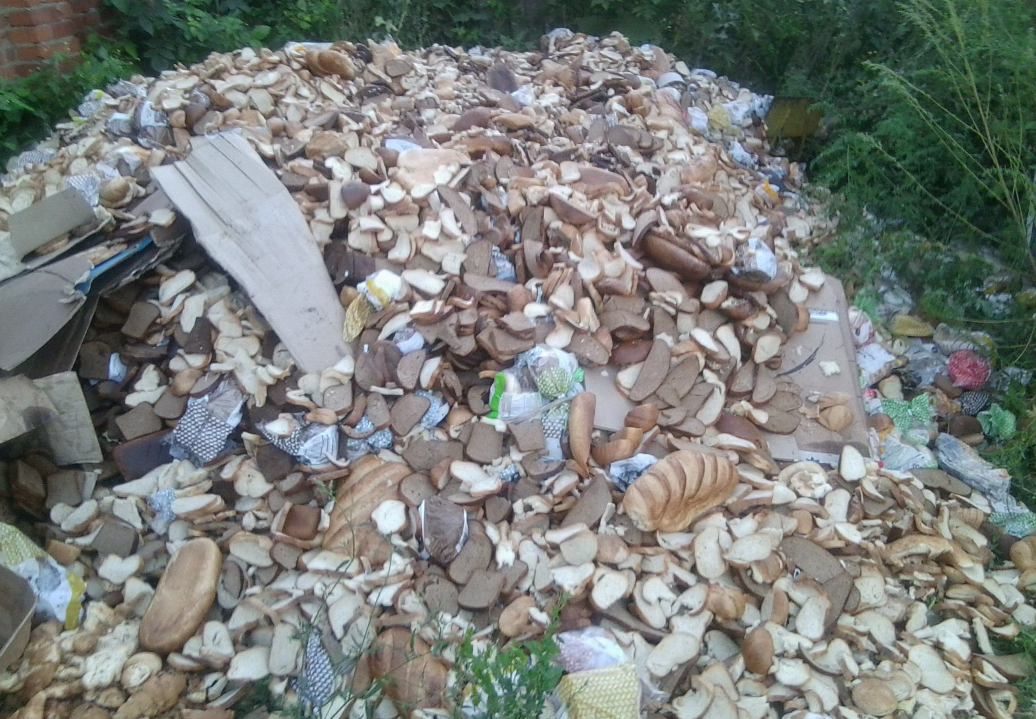 Полиция: хлеб в Рязани не выбрасывали