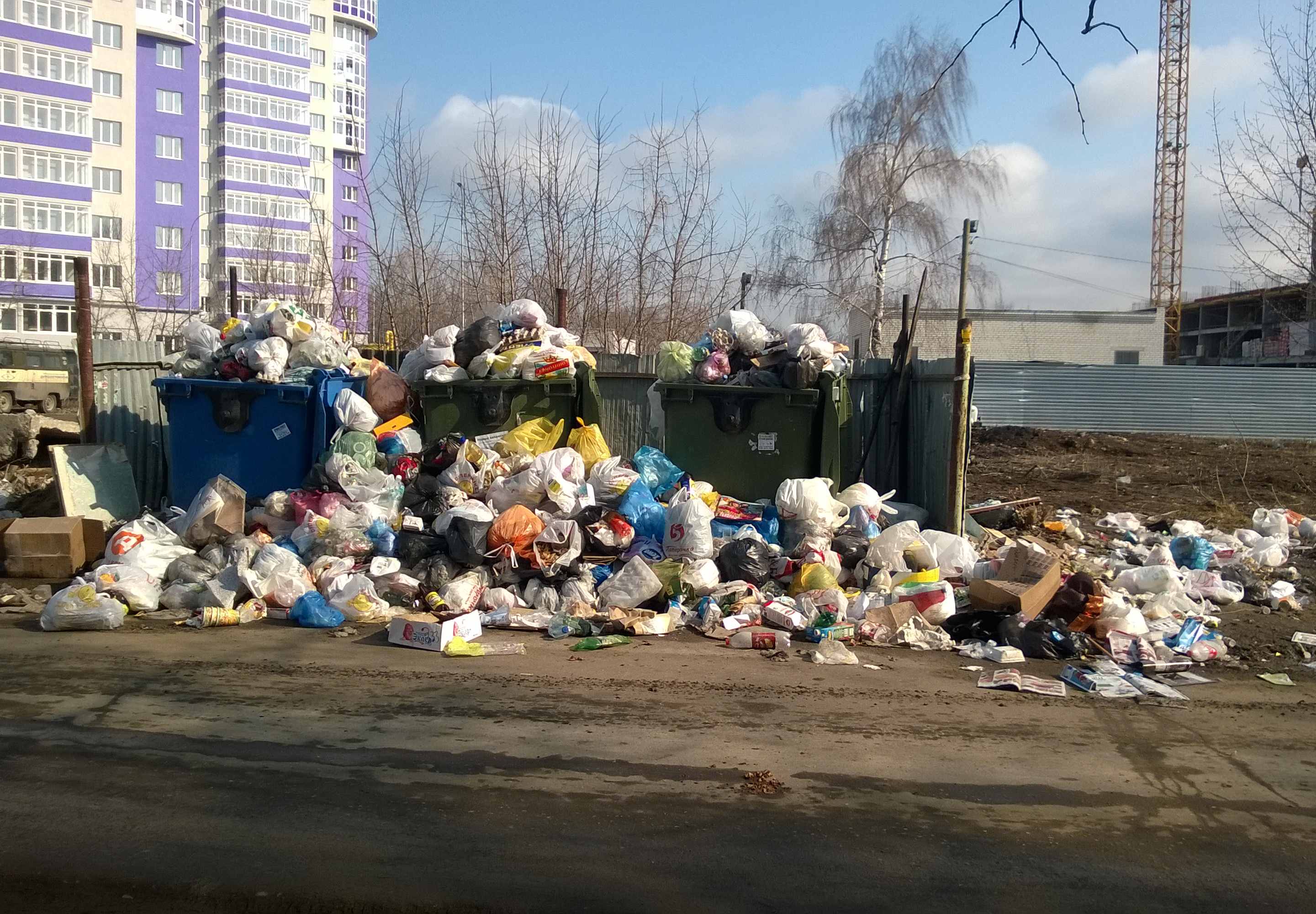 «Рязань ЭкоСервис» перестал вывозить мусор из 9 дворов