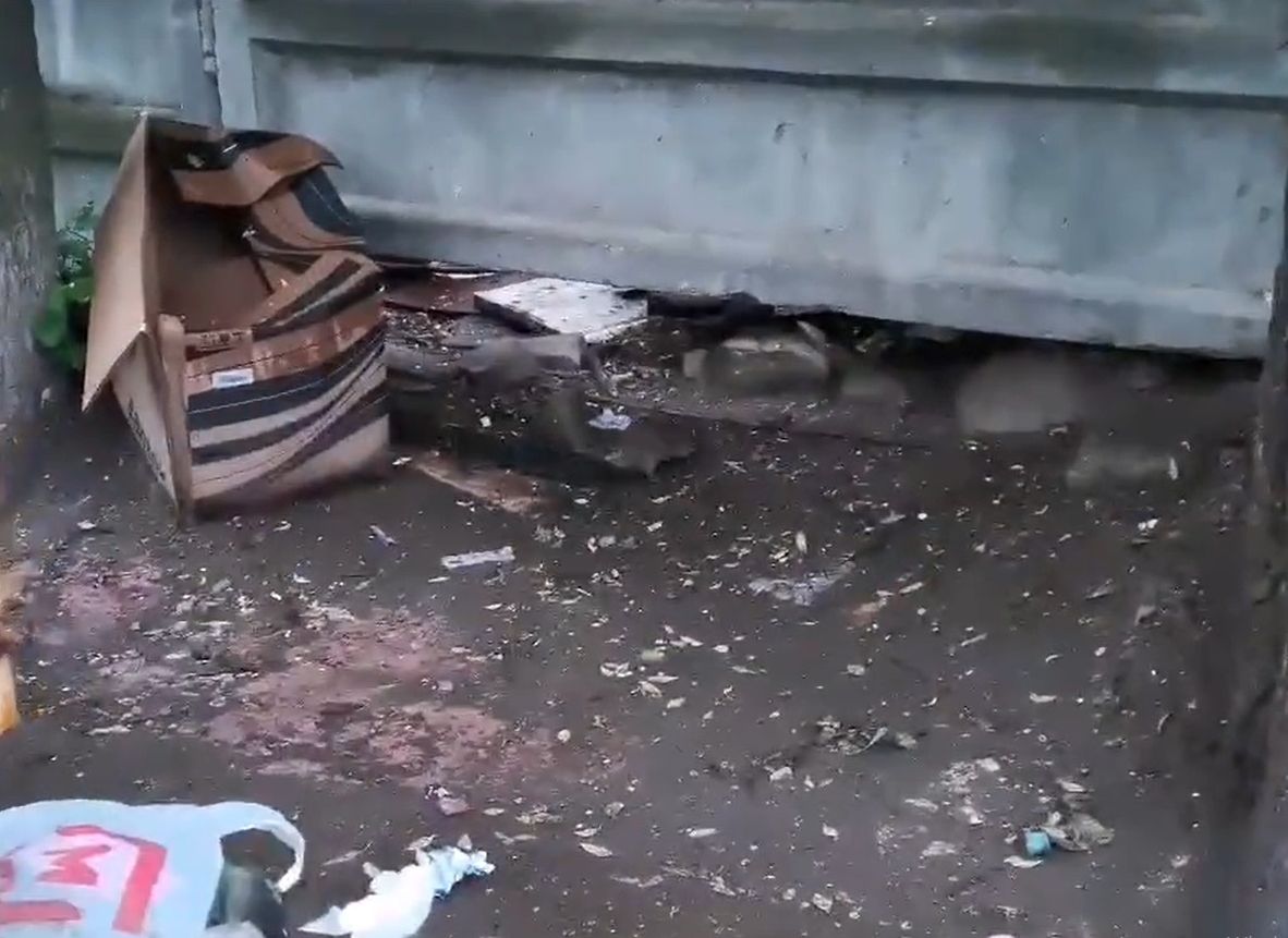 Жители Дягилева рассказали о нашествии крыс