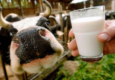 В Рязани увеличили субсидии на производство молока