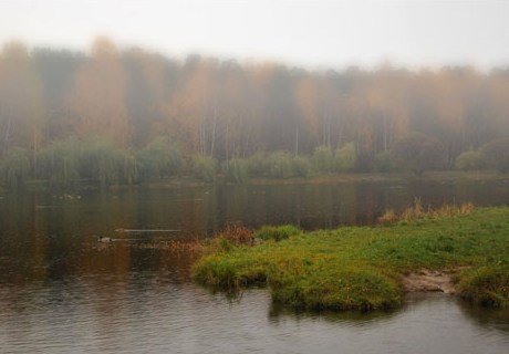 В Рязанской области ожидаются туман, дождь, гроза