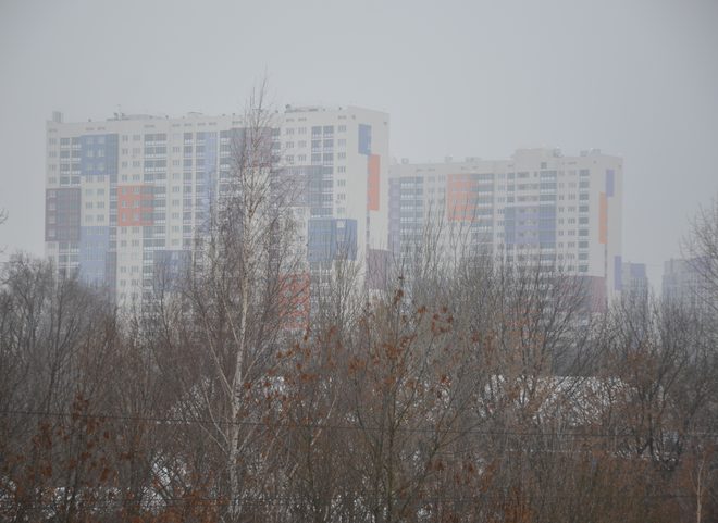 Рязанское МЧС предупредило о тумане и гололедице