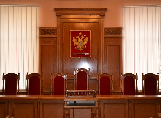 В Рязанской области осудили 24-летнего насильника