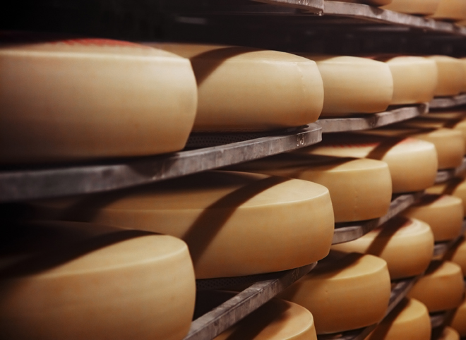 Рынок сыра: что производим?