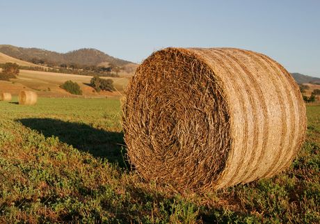 В Рязанской области заготовлено 17,5 тыс. тонн сена