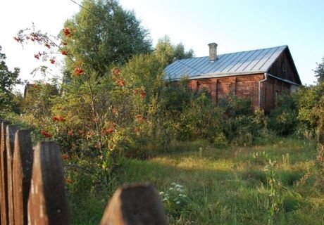 Дом Тарковского включили в список культурного наследия