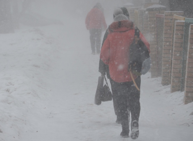 Рязанское МЧС выпустило метеопредупреждение о снегопаде и сильном ветре