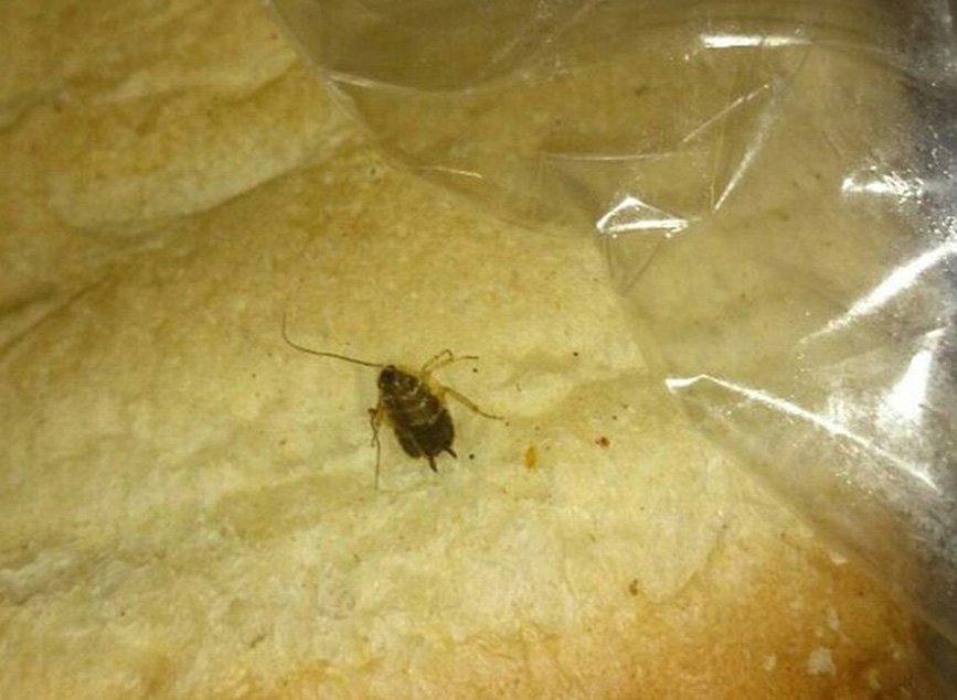 Рязанка обнаружила таракана в хлебе