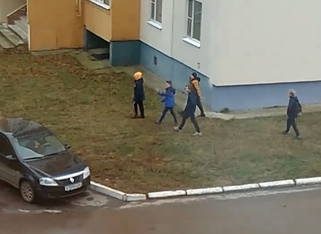 В Новомичуринске школьники закидали камнями пенсионерку