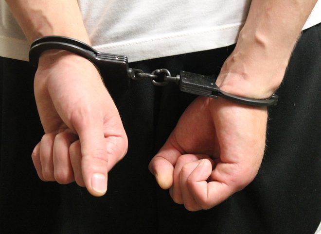 Рязанские полицейские задержали «хитроумного» вора
