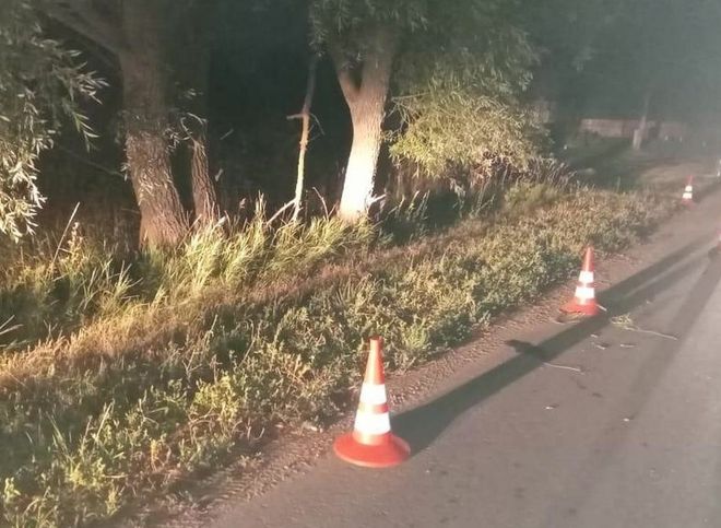 В Сасовском районе подросток на мопеде врезался в дерево