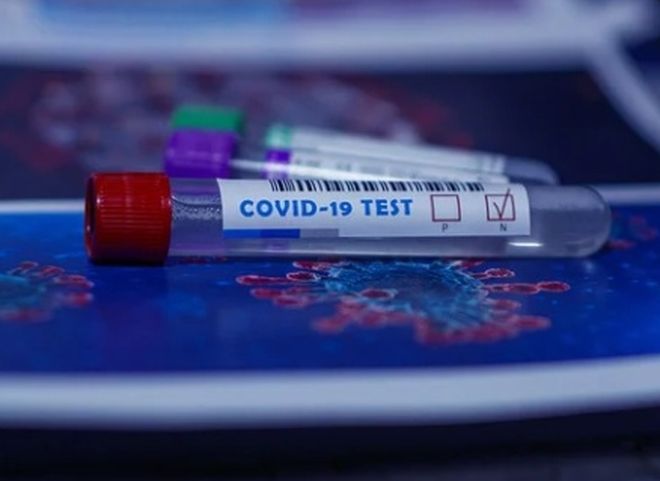 В Александро-Невском районе люди неделями ждут результаты тестов на коронавирус