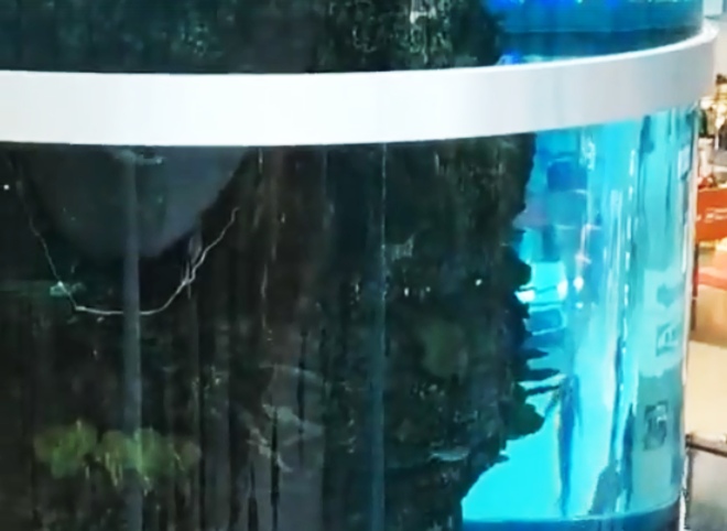 В московском ТЦ треснул гигантский аквариум