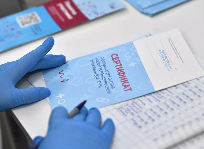 Гинцбург заявил о создании теста на поддельный сертификат о вакцинации