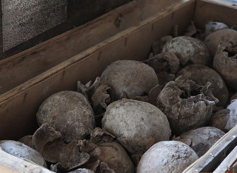 В гараже на окраине Рязани обнаружили 85 человеческих черепов