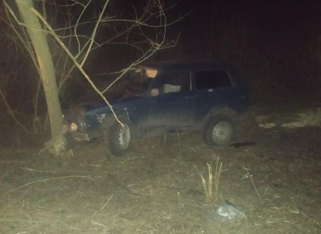 Под Михайловом пьяный водитель без прав улетел в кювет на «Ниве»