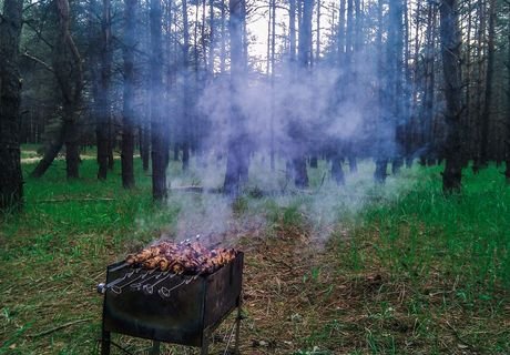 В лесах РФ предлагают ввести «налог на шашлыки»