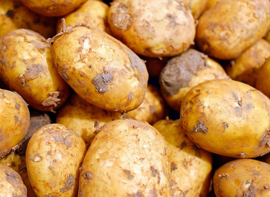 В Челябинской области четыре человека отравились насмерть картофельным газом