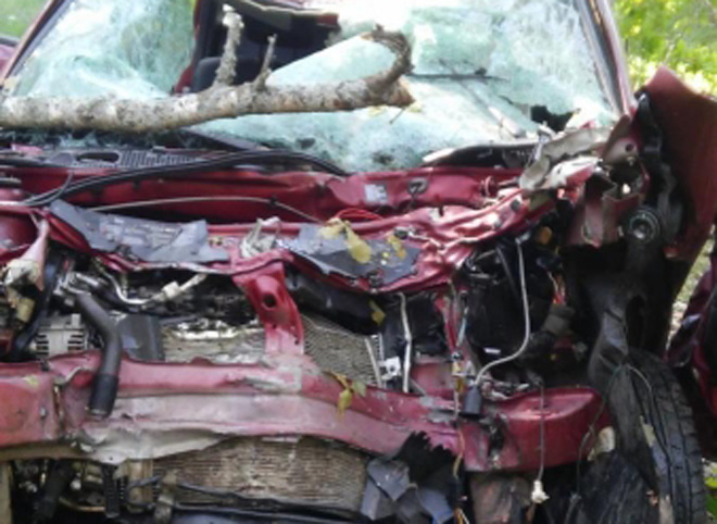 В Рязанской области иномарка врезалась в дерево, водитель погиб