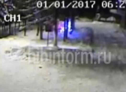 Вандалы, уничтожившие ледяную скульптуру рязанского художника, попали на видео
