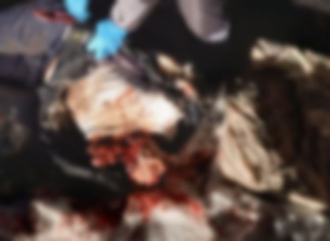Опубликованы фотографии с места гибели полицейского при запуске салюта под Рязанью