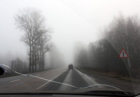 Видимость на дорогах Рязани снизится из-за тумана – МЧС