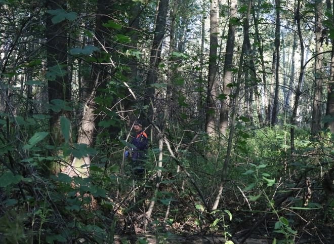 Спасатели обнаружили потерявшегося в лесу грибника