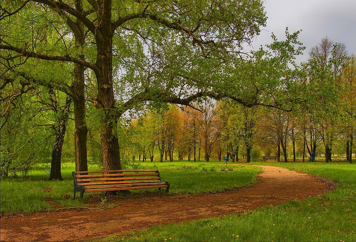 Информация про парк. Парк пейзаж Серпухов. Парк весной. Весенний городской парк.